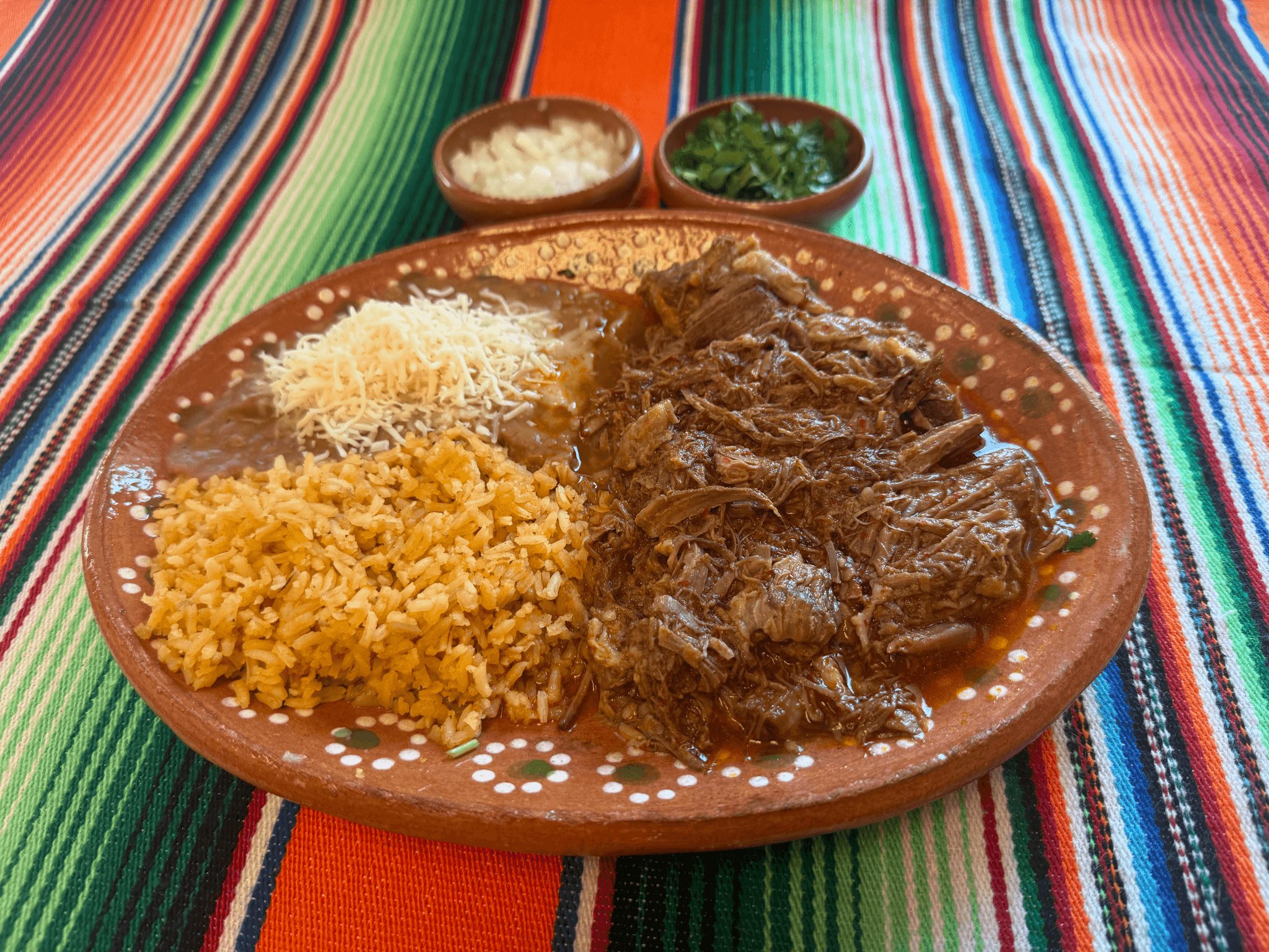 Birria Plate.